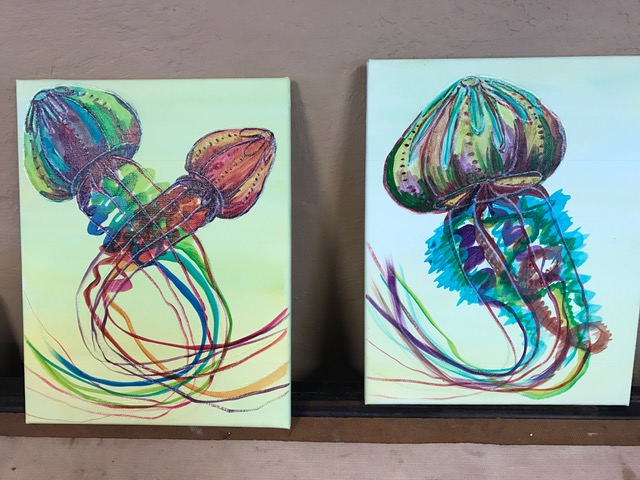 jellyfish